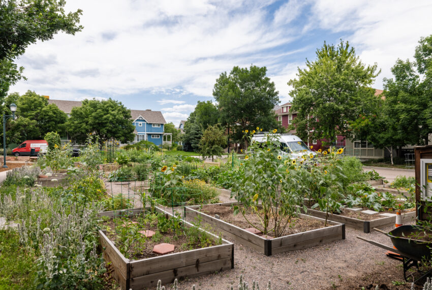 4523 W 36th Pl-035